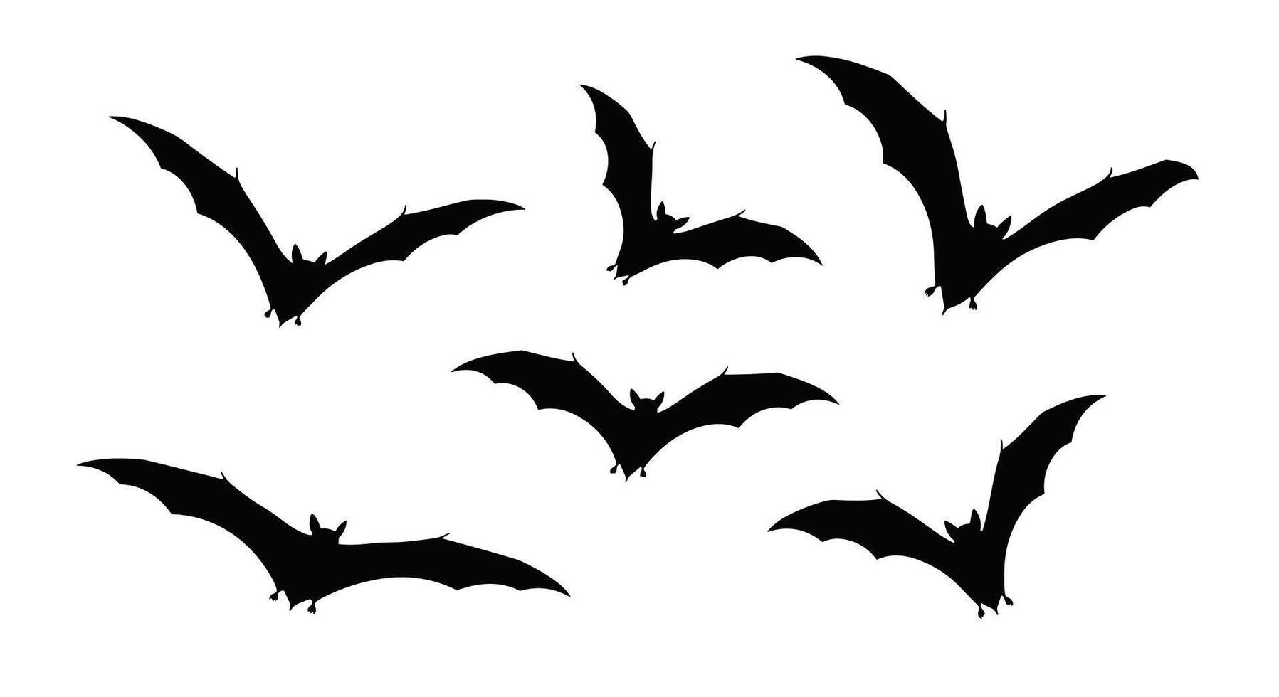 Exploring the World of Bats From the Deep Cave Through the Night Sky vector