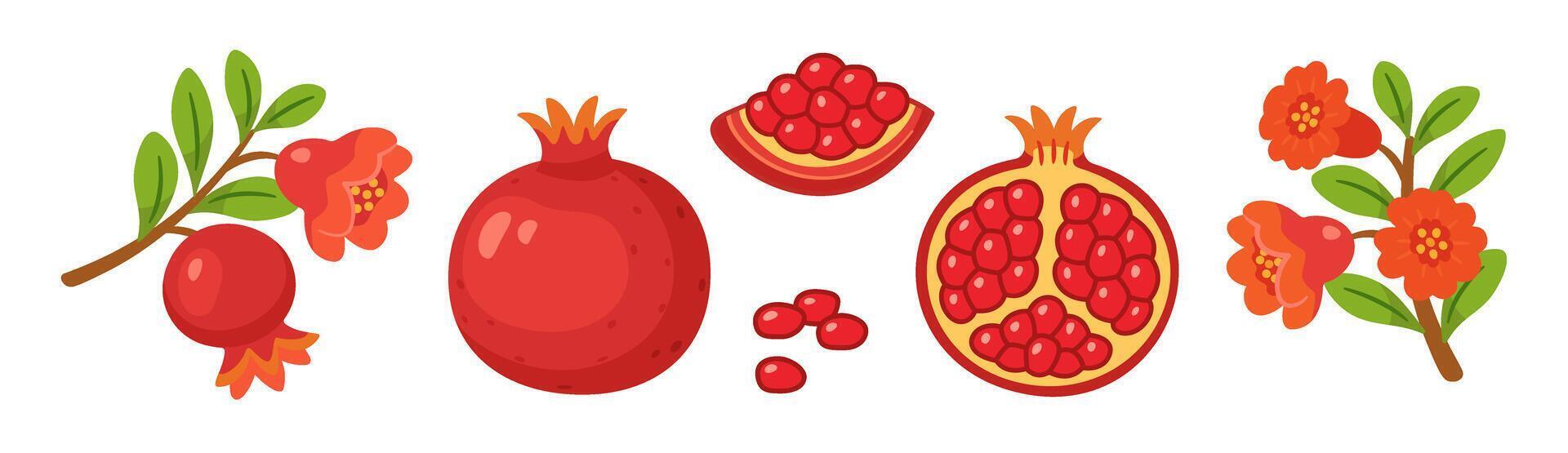 Pomegranate set, whole and half fruits with seeds, branches, green leaves, pomegranate flowers. flat style, isolated icons. For digital and print projects, packaging, cards, botanical posters vector