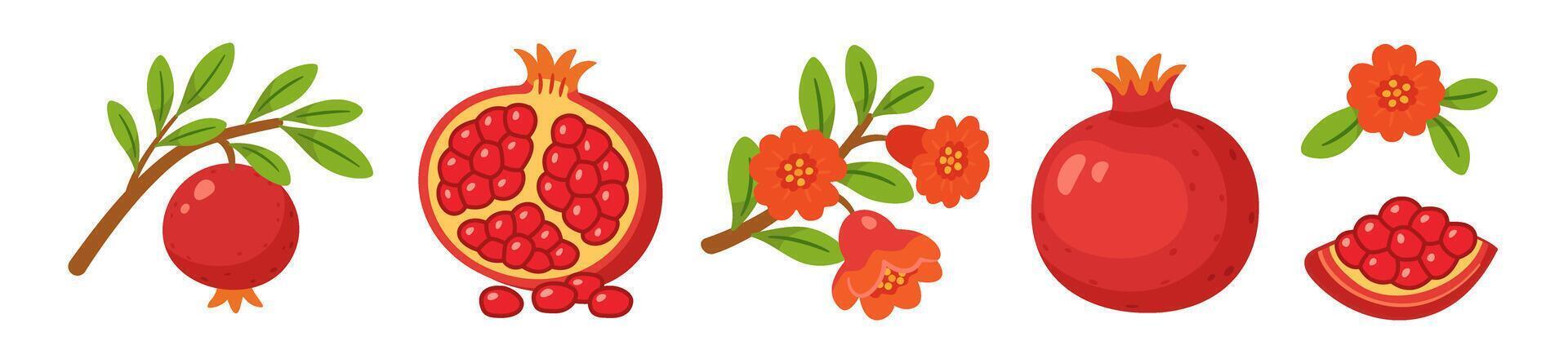 Pomegranate set, whole and half fruits with seeds, branches, green leaves, pomegranate flowers. flat style, isolated icons. For packaging, greeting cards, botanical posters vector