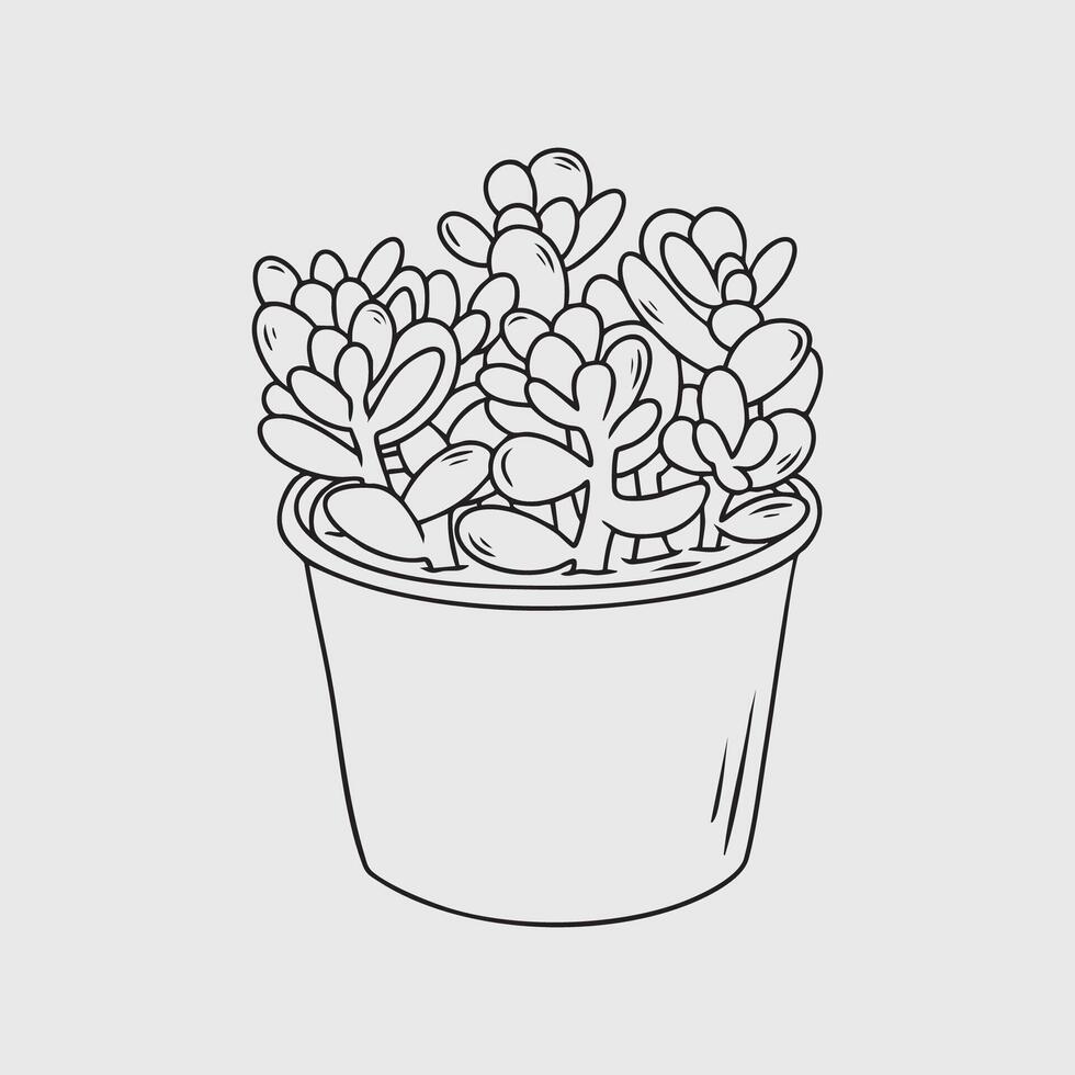 Line Drawing of a Potted Succulent Plant vector