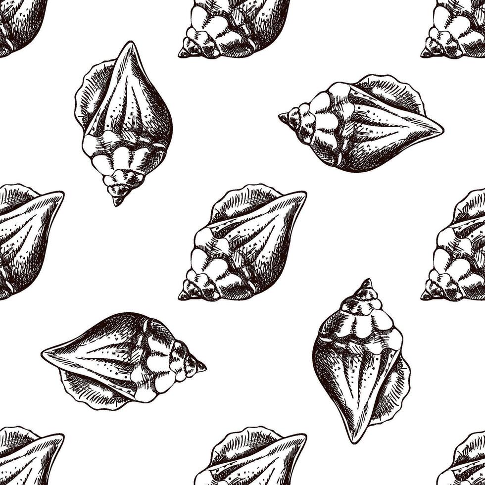 Hand drawn vintage seamless pattern of pointed conch seashell in brown ink engraving style, coastal sketch illustration vector