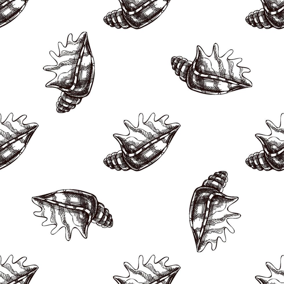 Hand drawn vintage seamless pattern of spiked seashell in brown ink engraving style, exotic marine sketch illustration vector
