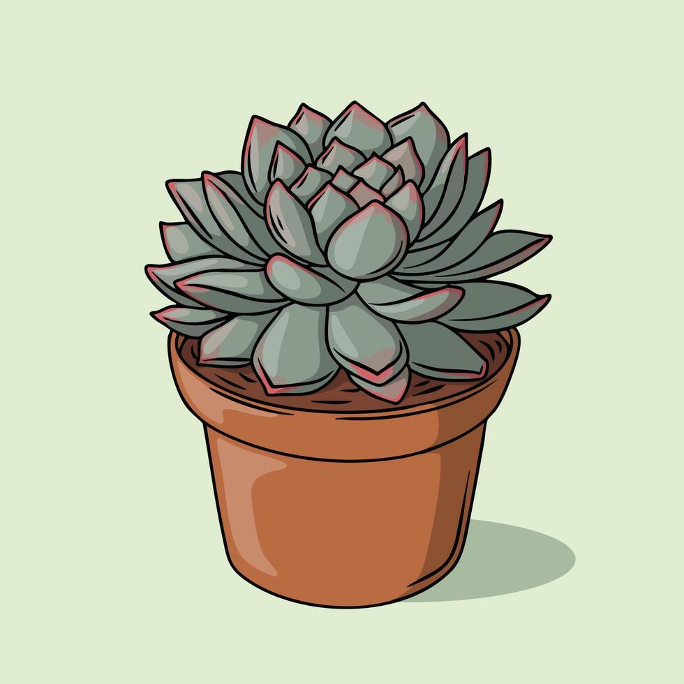 Hand drawn of a echeveria succulent plant in a pot vector