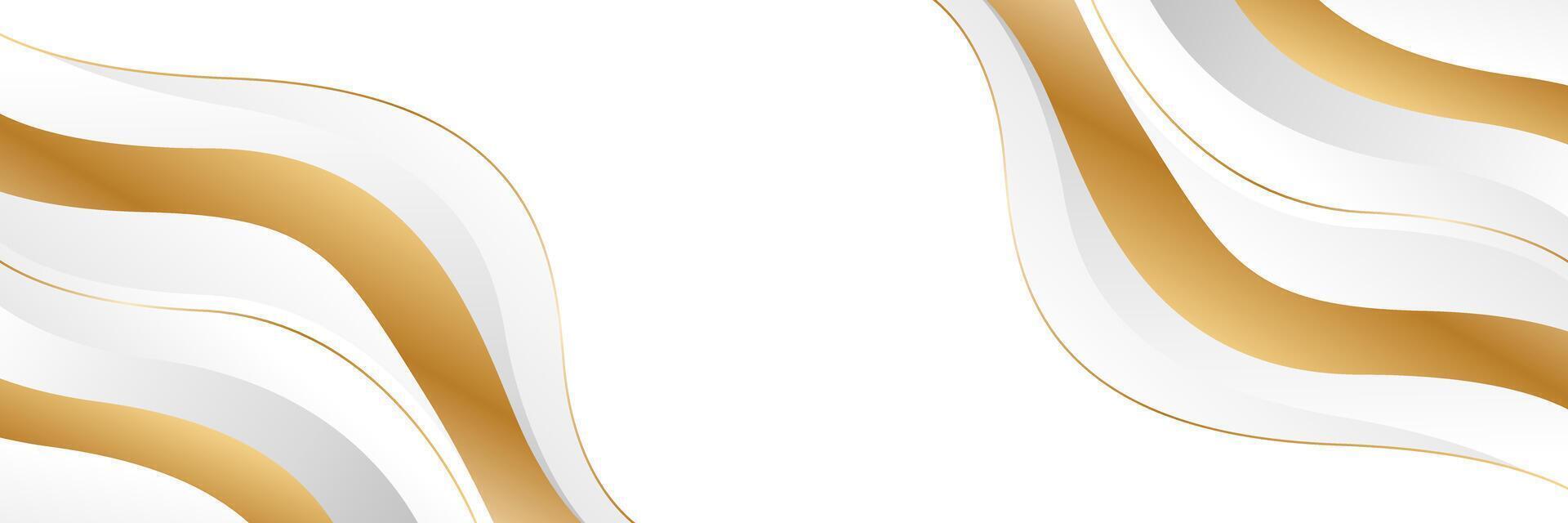 Abstract white and gray luxury wave background with gold accents vector