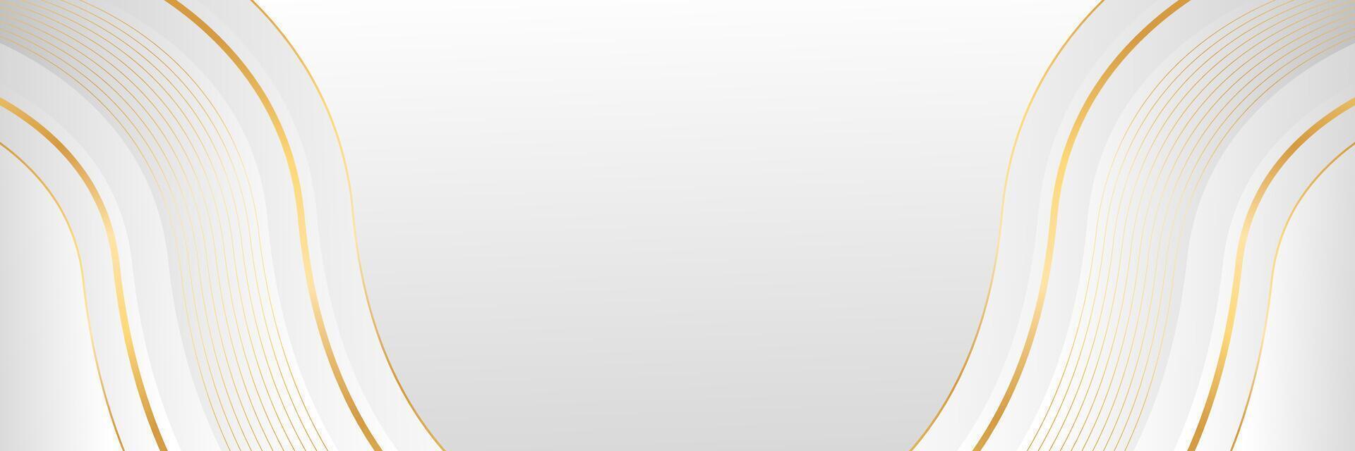 Minimalist white-gray luxury banner background with gold lines vector