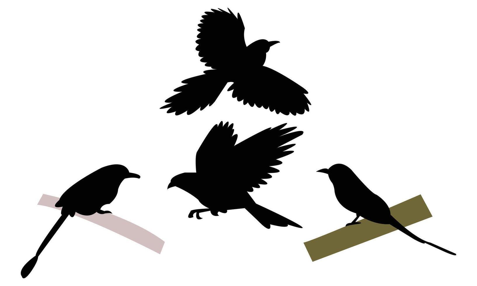 Amazonian motmot bird Silhouette Collection vector