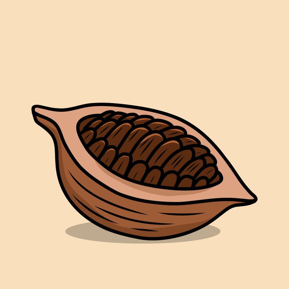 Cut Open Cocoa Pod Showing Seeds vector