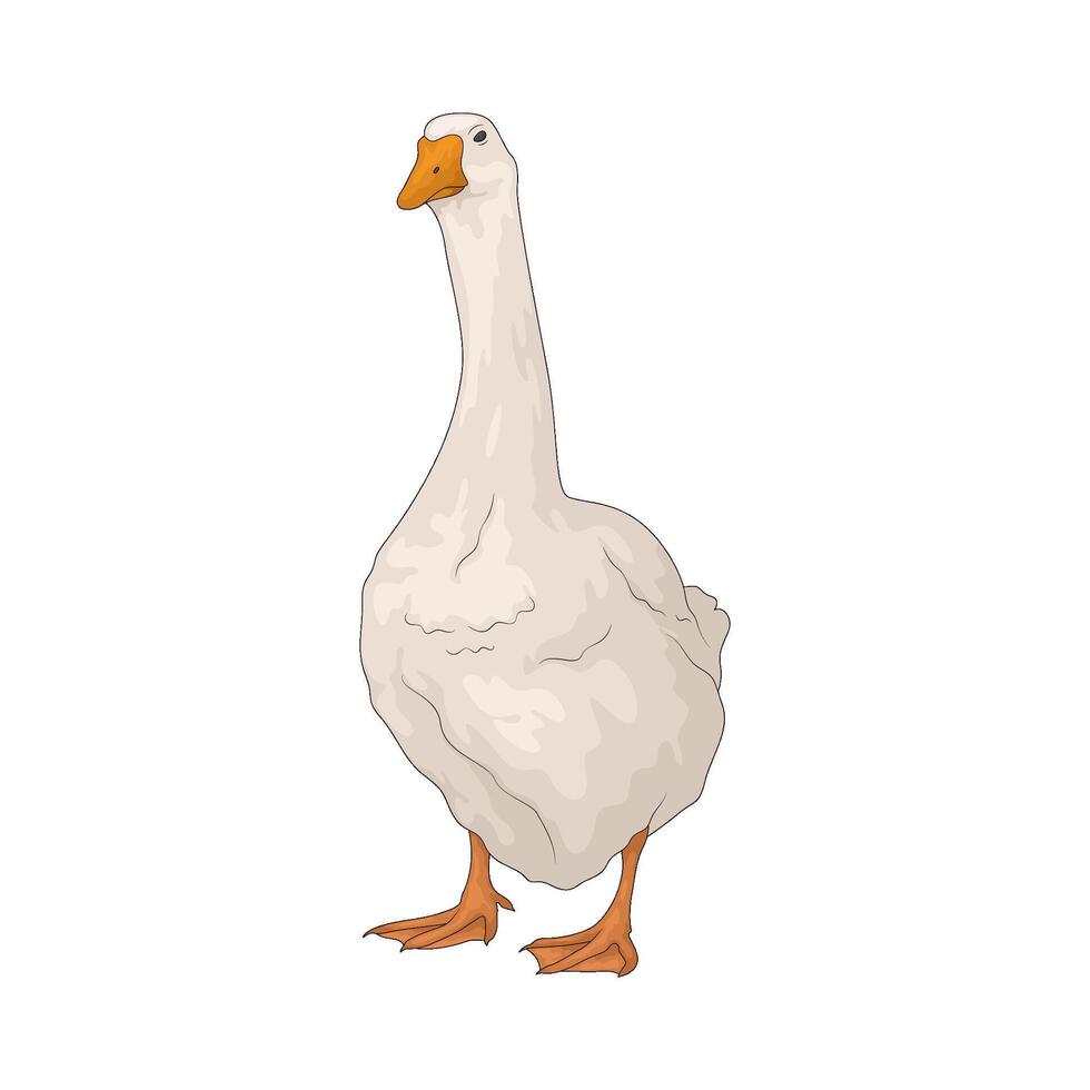 cute duck illustration vector