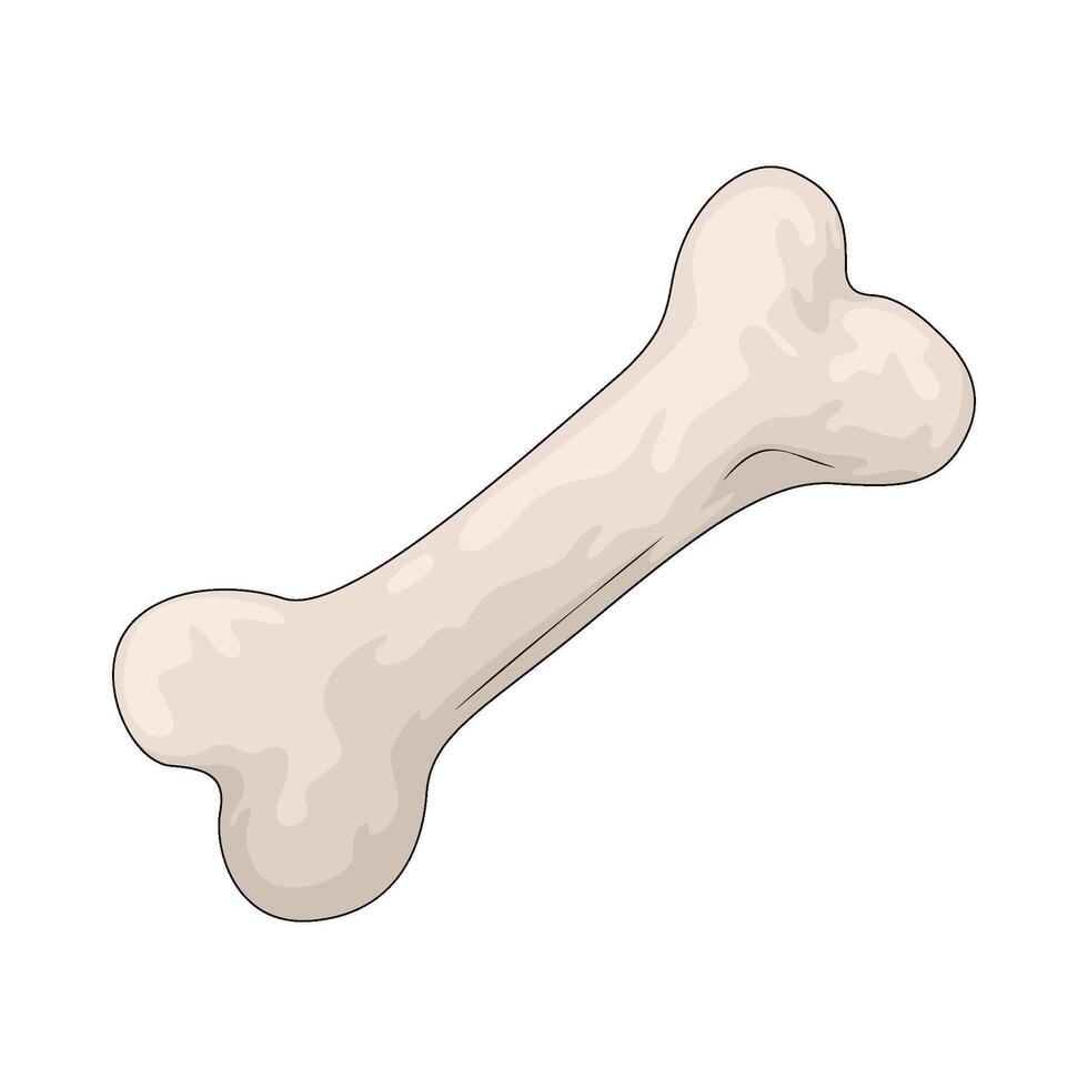 the dog bone vector