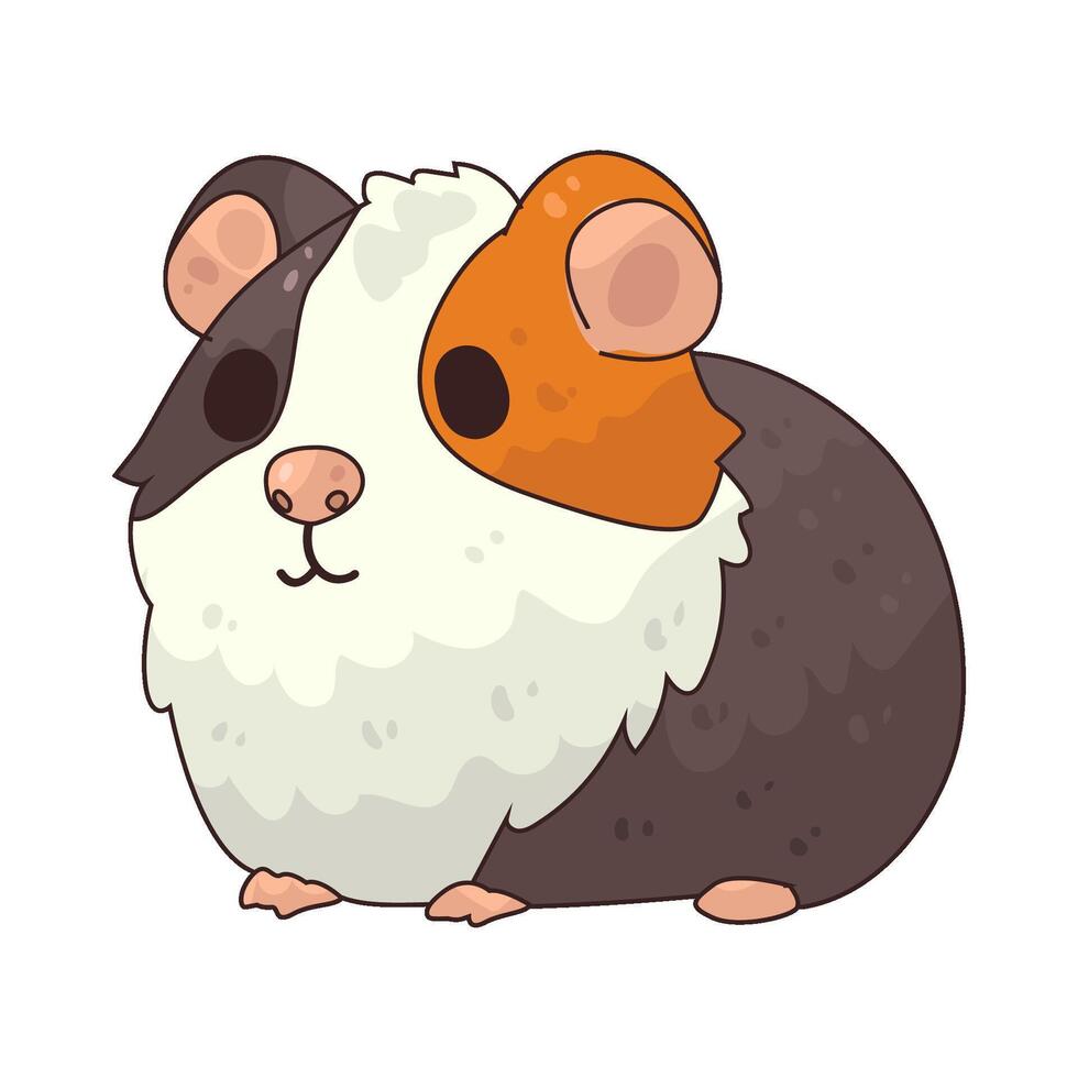 guinea pig illustration vector