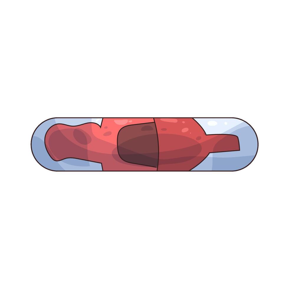 illustration of a Pet Microchip vector