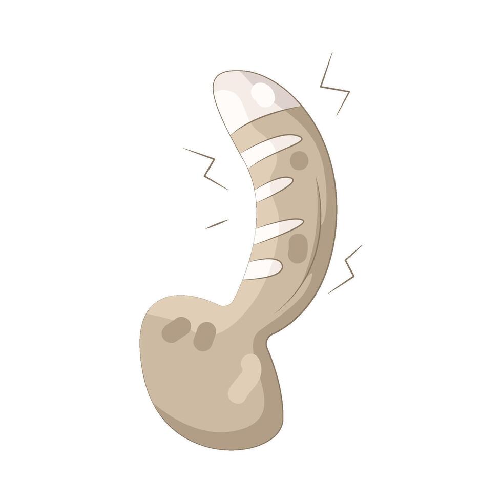 Illustration of cat tail vector