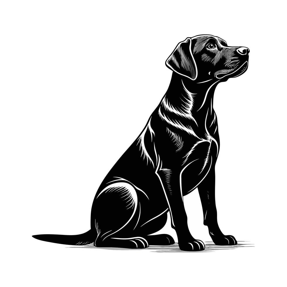 Dog Silhouette Collection vector