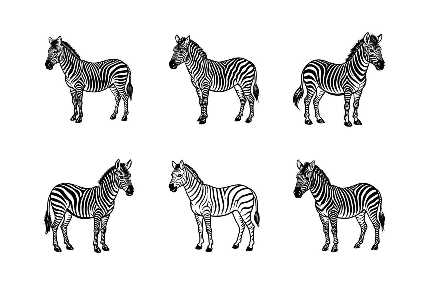 Set of African zebra side and front view icon silhouette design white background vector