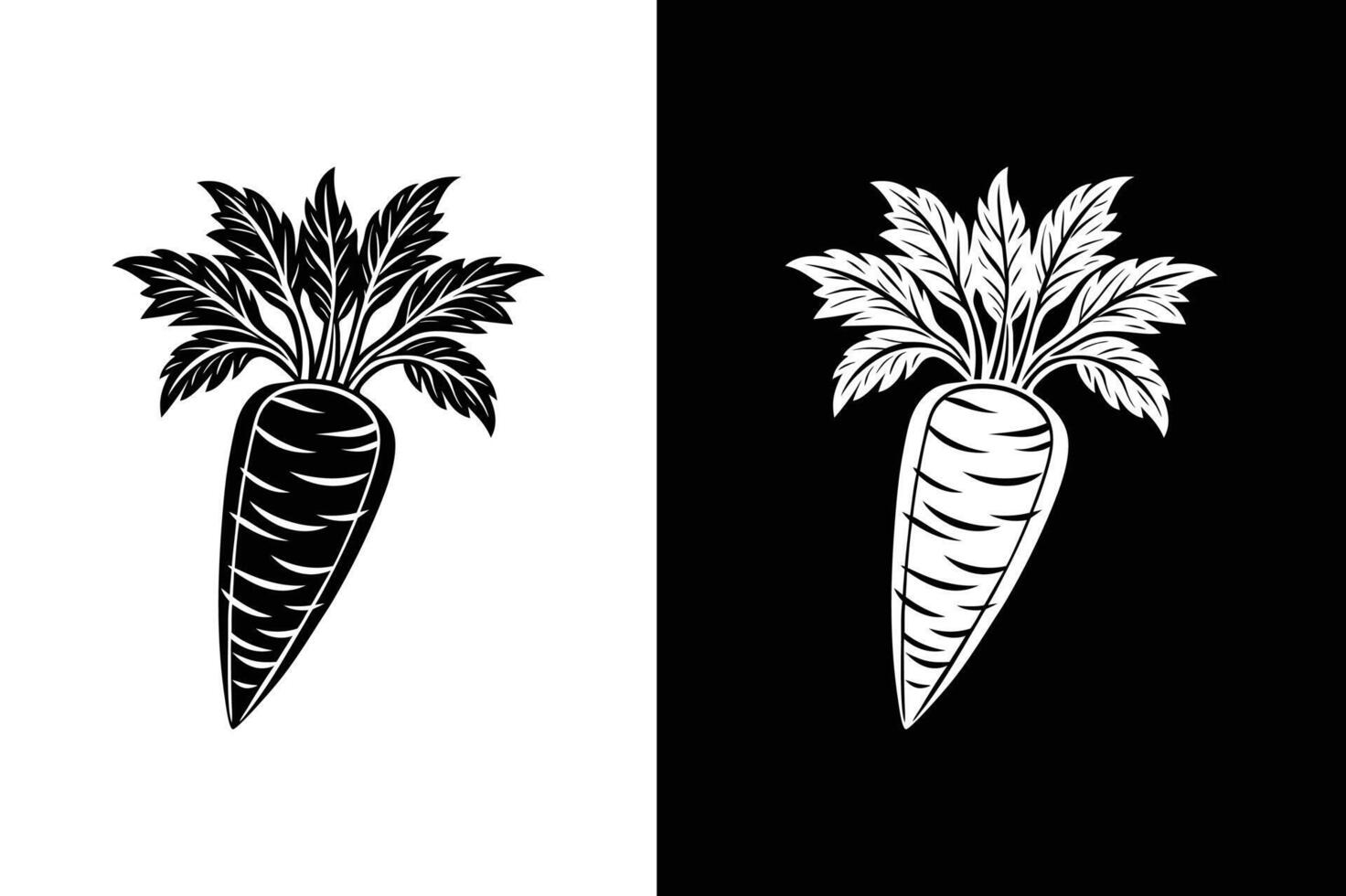 Silhouette icon of a Carrot A stylized black white silhouette of a carrot vector