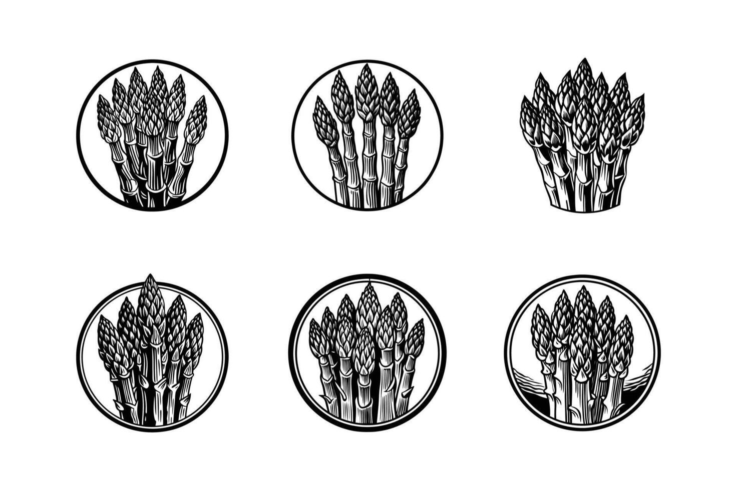 asparagus icon silhouette set design illustration with white background vector
