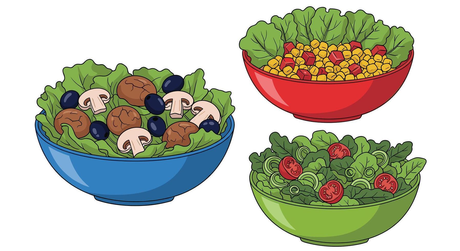 Delicious Salad Recipes For All Tastes and Preferences Perfect For Lunch and Dinner vector