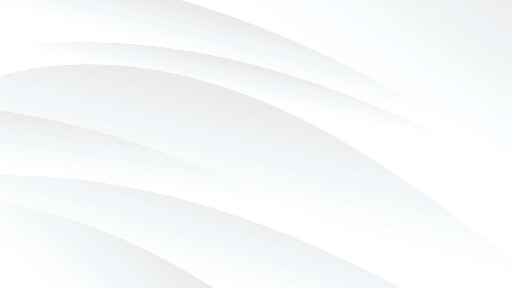 abstract white background with decorative curve line and smooth texture vector