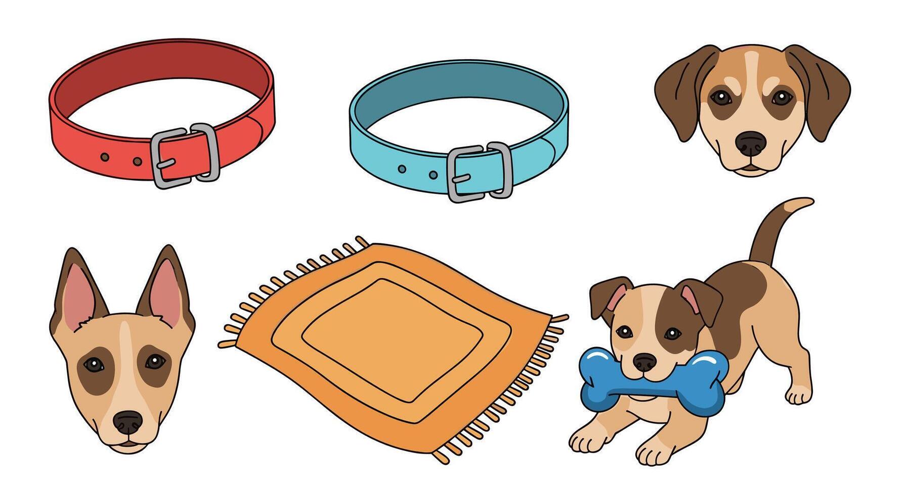 Dog collar and accessories illustration vector