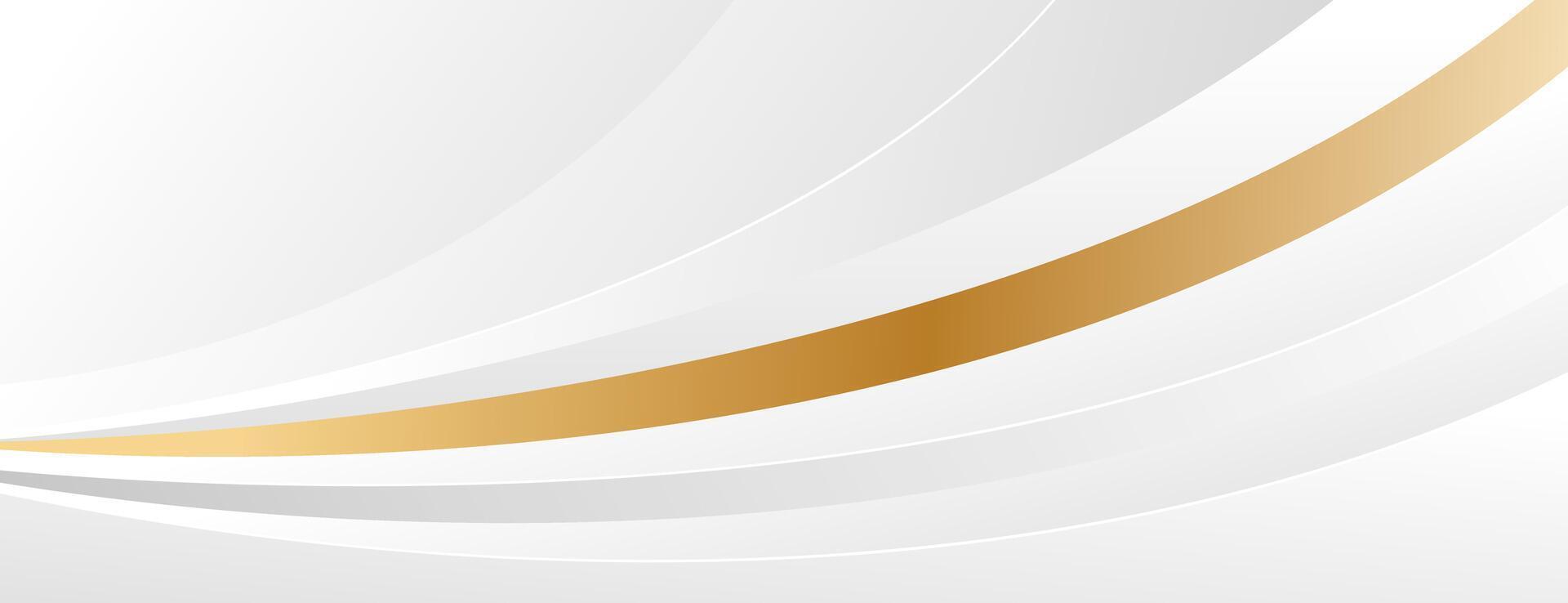 Minimalist abstract white-gray luxury curve background vector