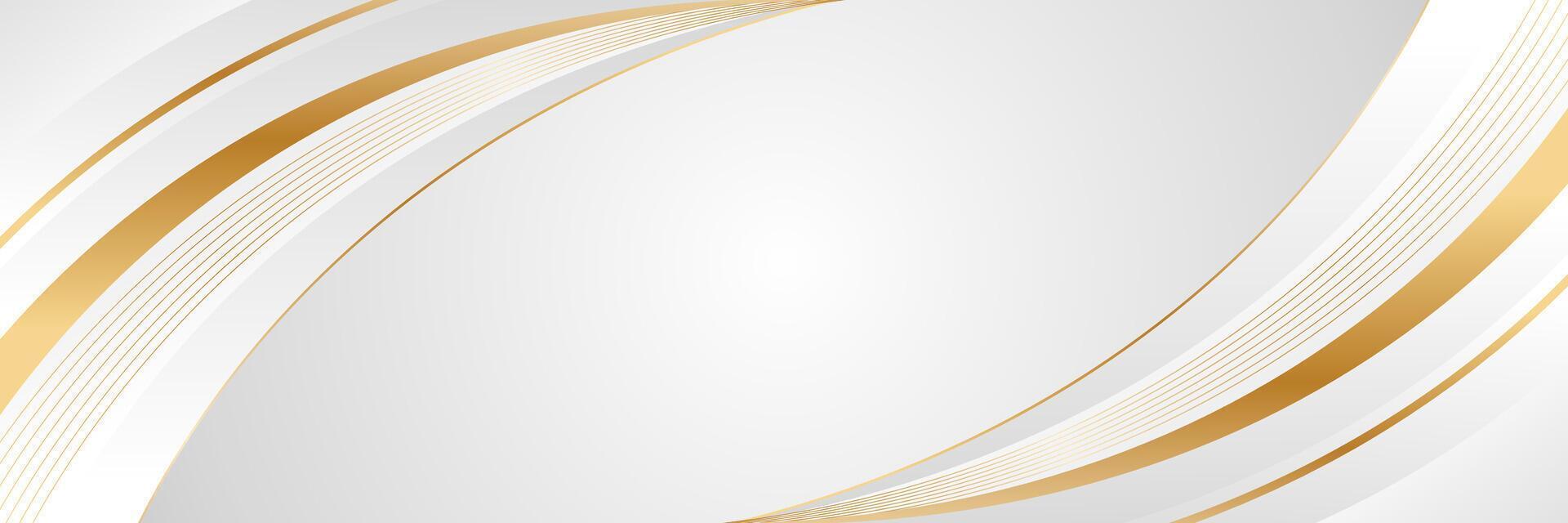 Elegant white and gray luxury curve background with gold lines. Abstract modern banner design for websites, headers, sale templates, business ads, awards, events, and more vector