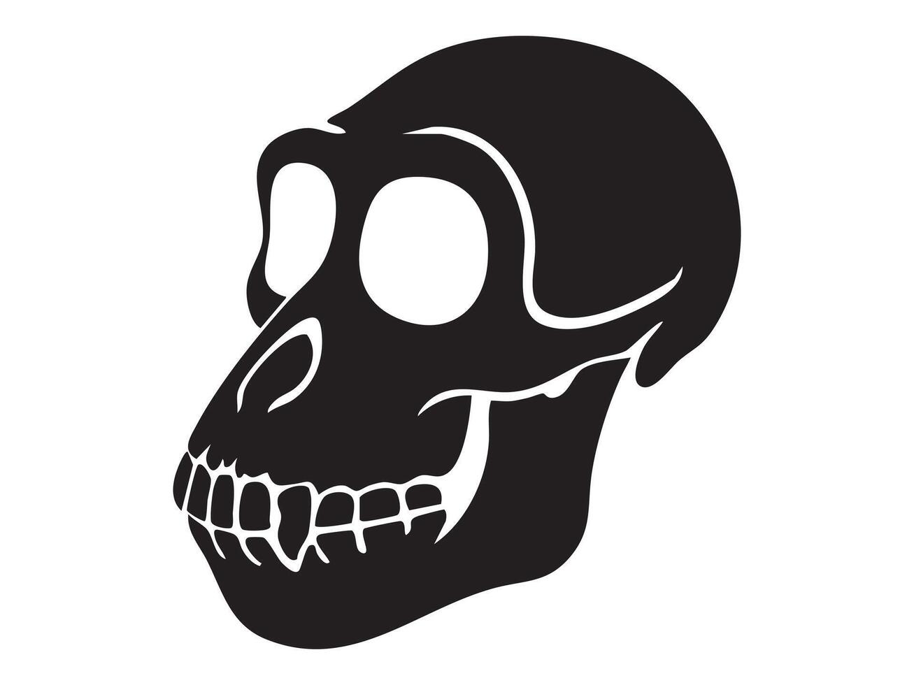 Black silhouette of a monkey skull with large eye sockets and visible teeth, isolated on white background, graphic illustration. Concept of primate anatomy, wild animal skeleton vector