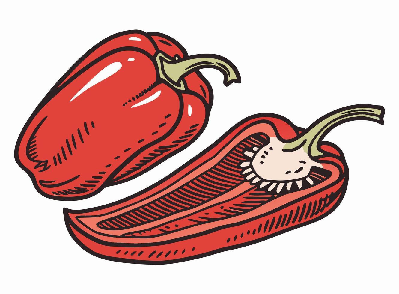 Red Bell Pepper Halved and Whole Fresh Vegetable vector