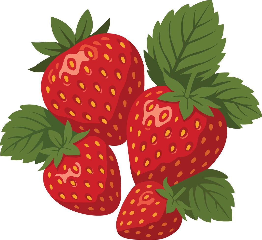 Fresh Red Berries with Leaves vector
