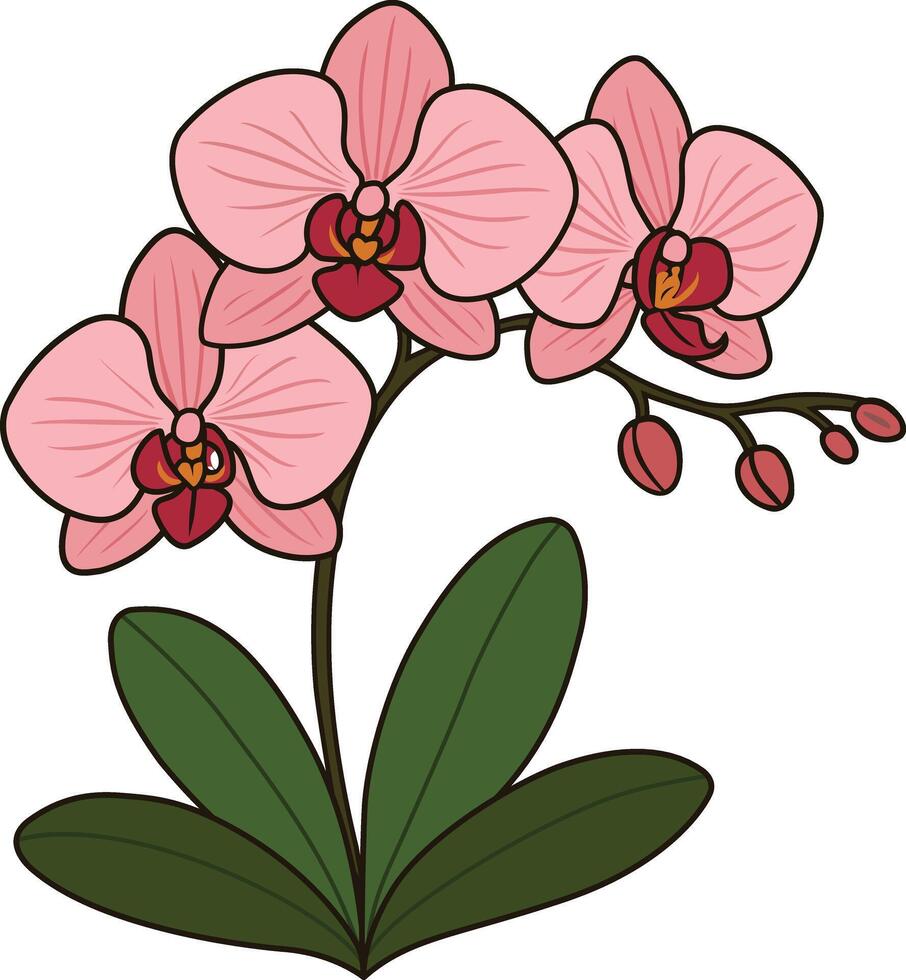 Floral Decor Element for Design Projects vector