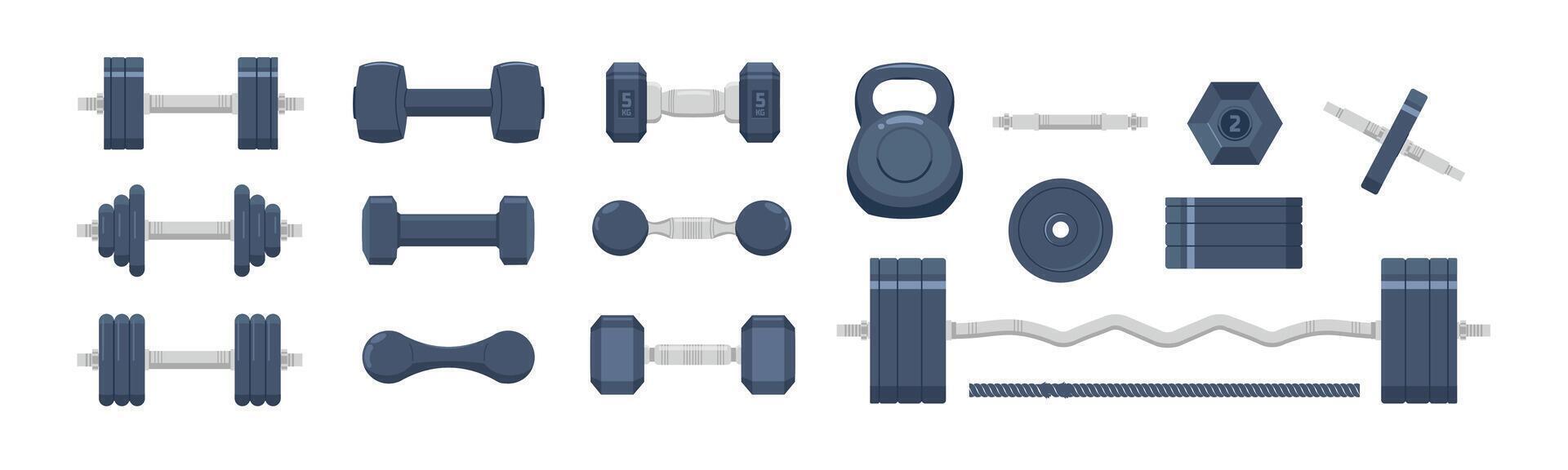 illustration of a set of barbell or dumbbell weights in various shapes and sizes. design for gym, bodybuilding or sports vector