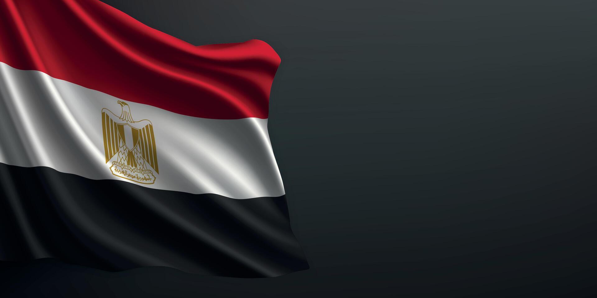 Egypt national flag waving on dark background vector