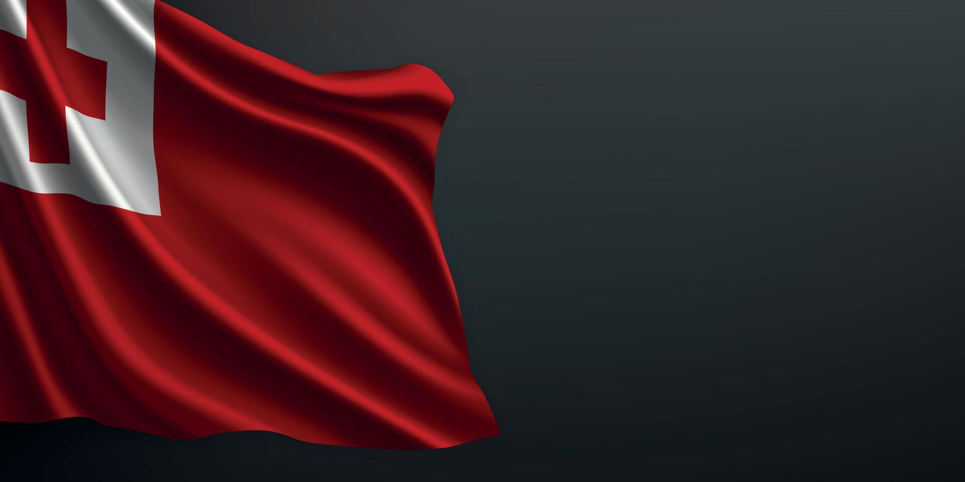 Tonga national flag waving on dark background vector