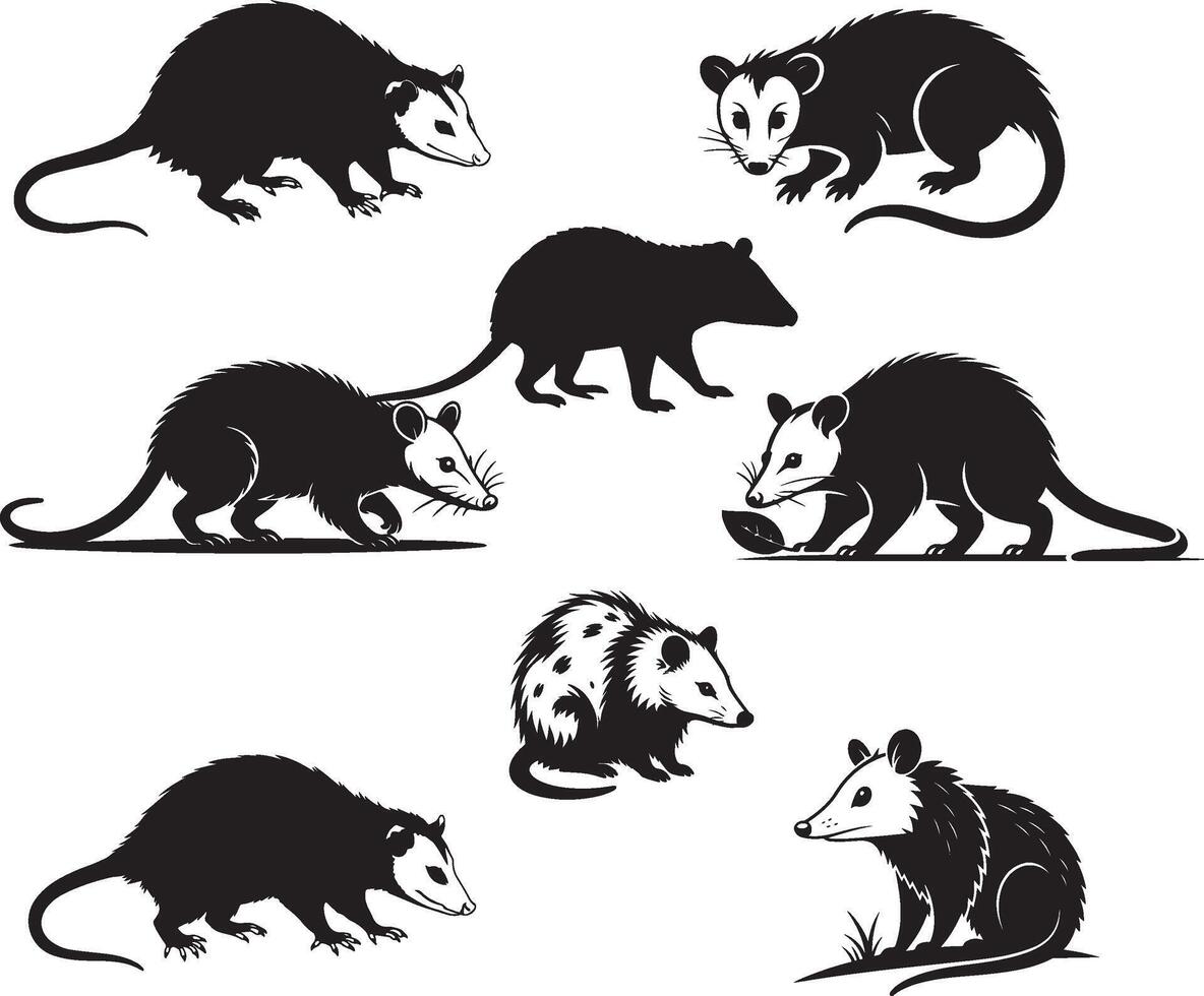 Opossum Illustration Set in Black and White vector