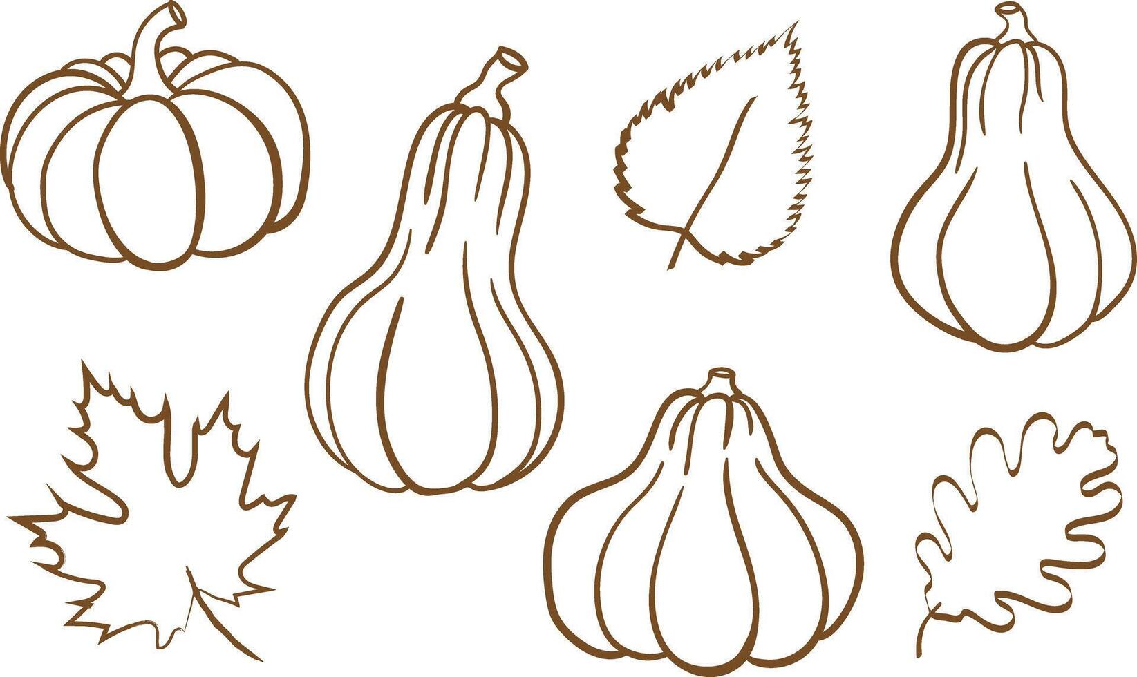 autumn harvest outline illustrations set of fall pumpkins and leaves simple seasonal graphic elements for decorative designs vector