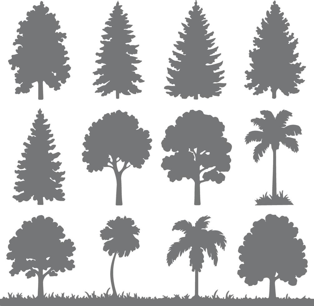 Twelve Gray Tree Silhouettes Collection Various Types Coniferous Deciduous Palm Trees Nature Graphic Design Elements vector