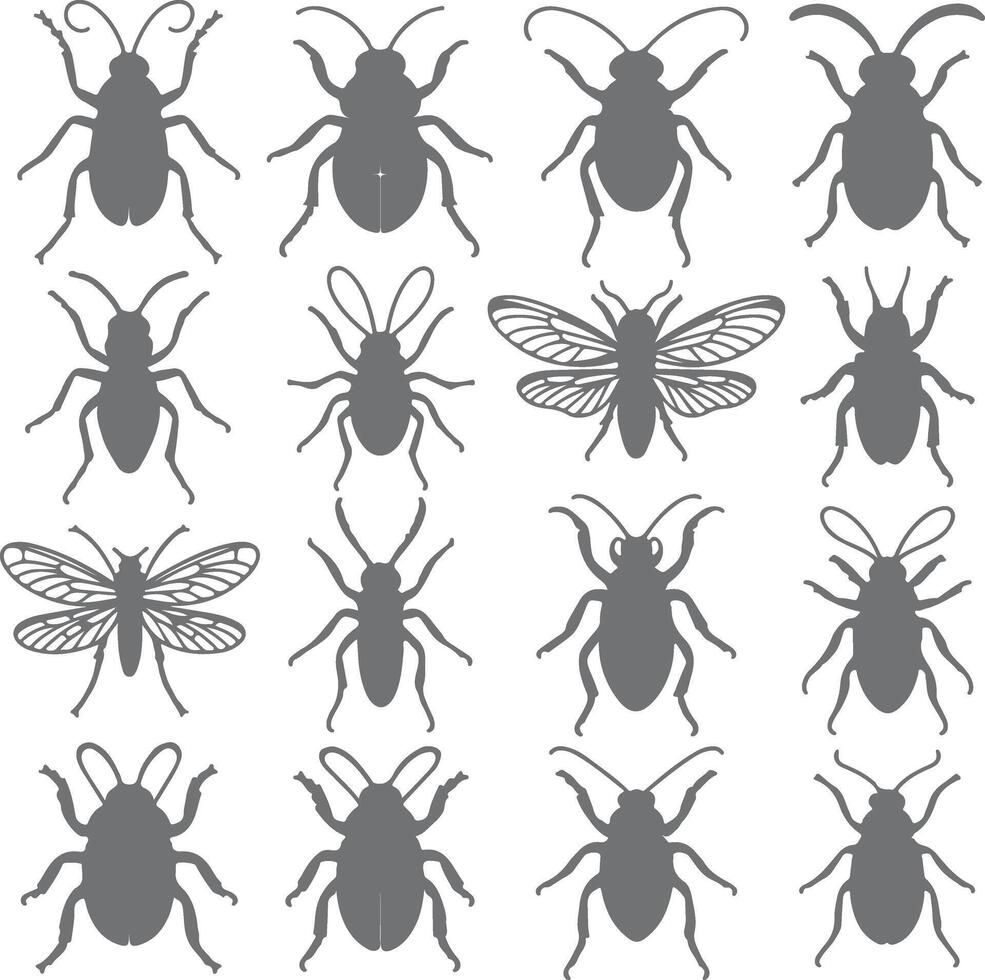 Sixteen Gray Insect Silhouettes Collection Diverse Beetle and Fly Species Top View Gray Scale Graphic Design Elements vector
