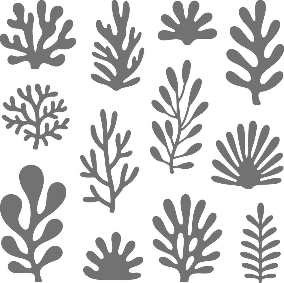 Grey Scale Silhouette Collection of Abstract Seaweed and Aquatic Plant Forms Botanical Illustration Set for Design Projects vector