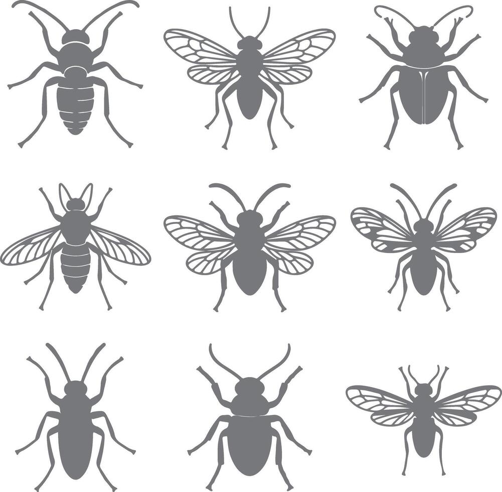 Nine Gray Insect Silhouettes Collection Detailed Drawings of Various Bugs Beetles Flies and Wasps Top View Illustrations vector