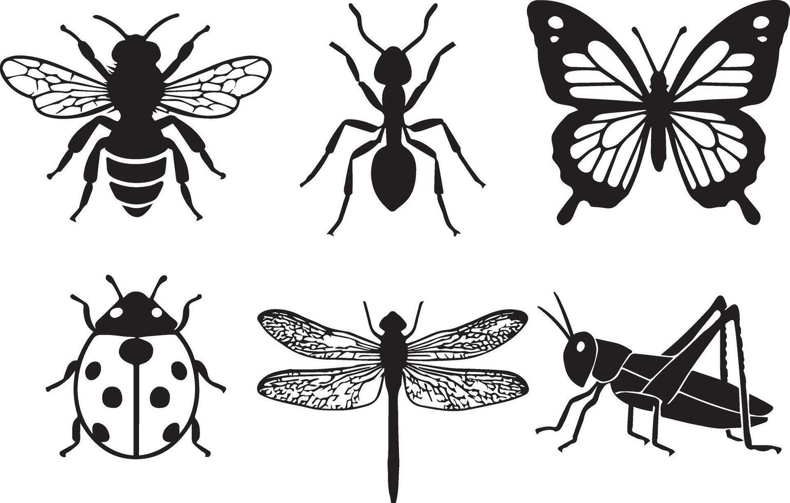 Insect Set Ant, Bee, Butterfly, Ladybug and More vector