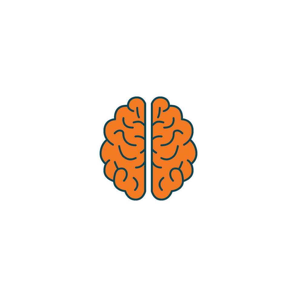 Brain Anatomy and Function vector