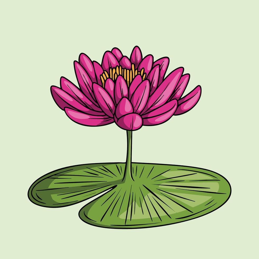 Illustration of Elegant Pink Water Lily Blossom with Leaf vector