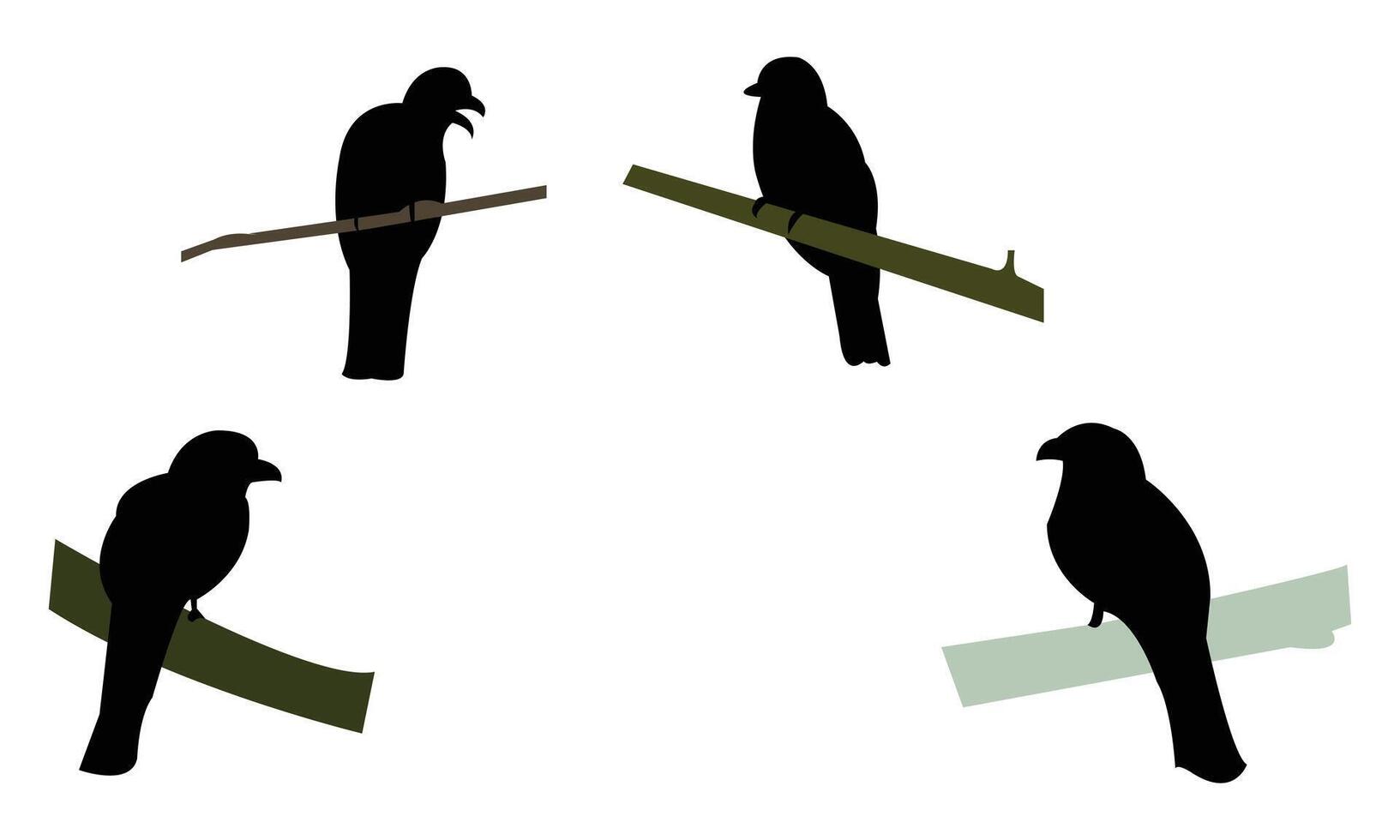 Amazonian trogon bird Silhouette Collection vector