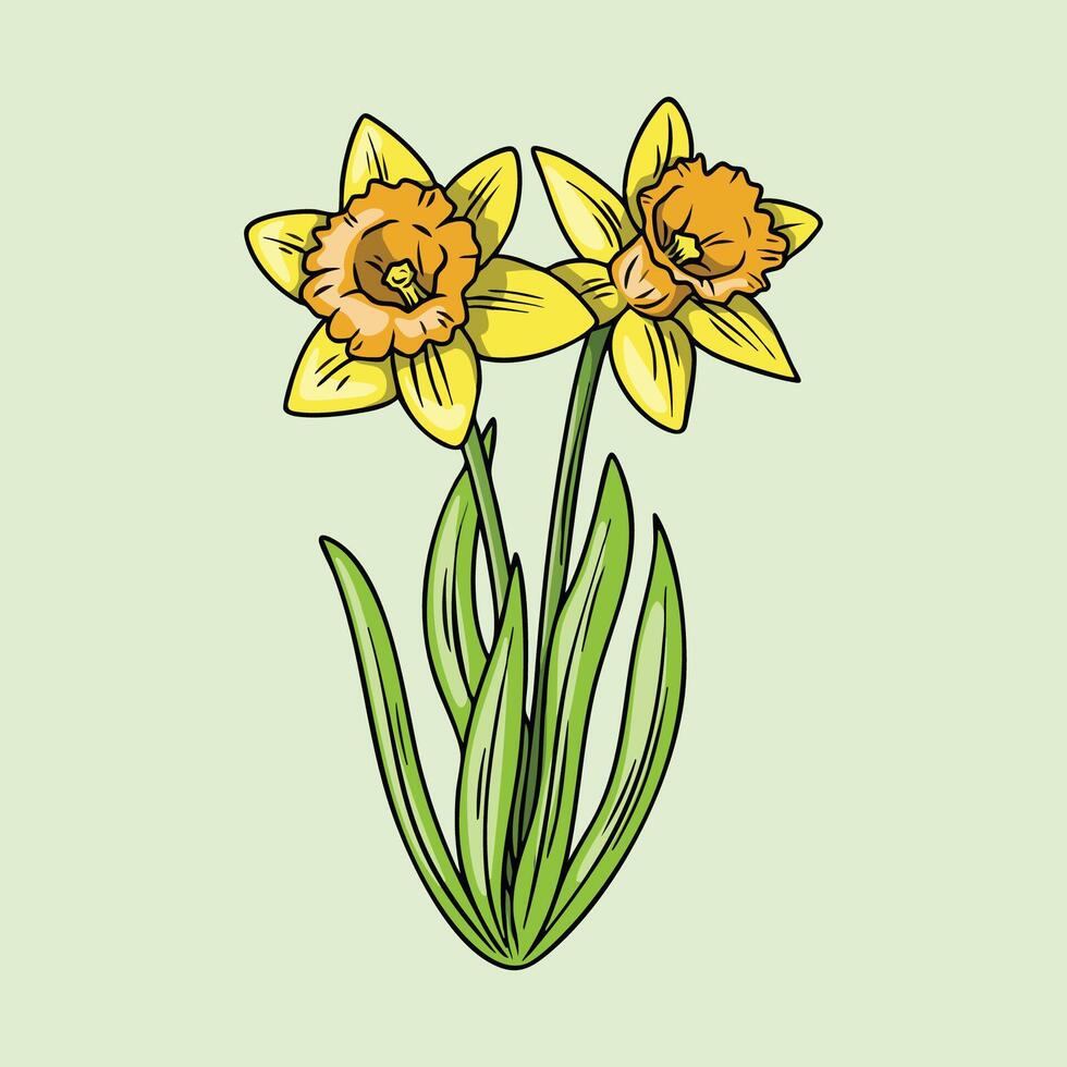 Illustration of Two Yellow Daffodils in Bloom vector