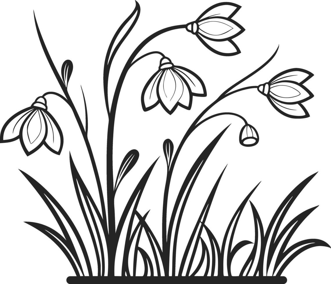 Snowdrop Flowers Illustration for Elegant Design vector