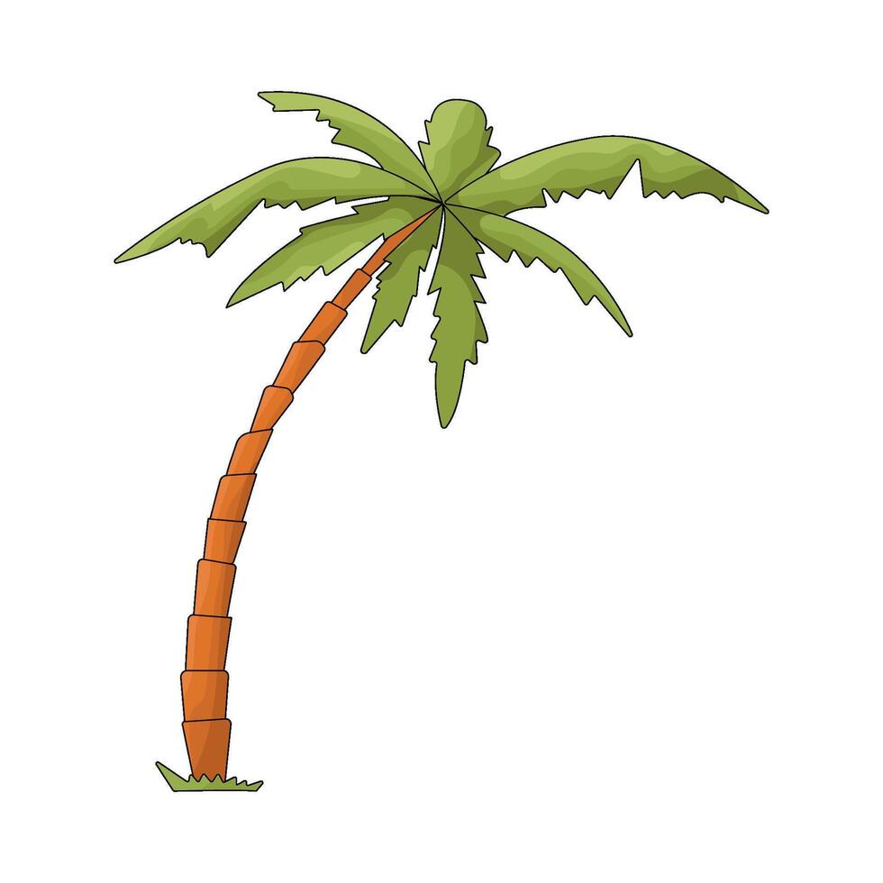 Illustration of green palm tree vector
