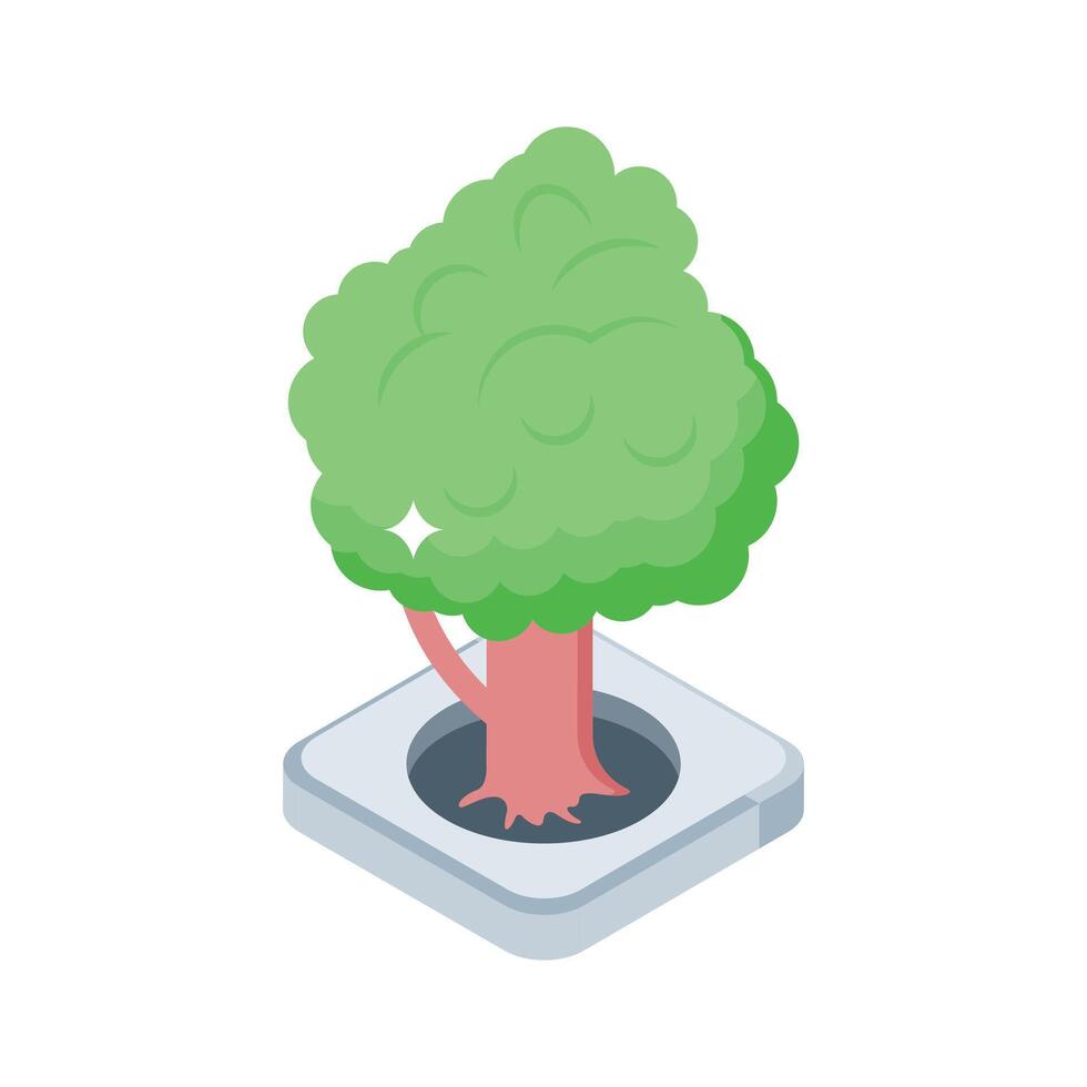 A captivating isometric icon of tall green tree vector