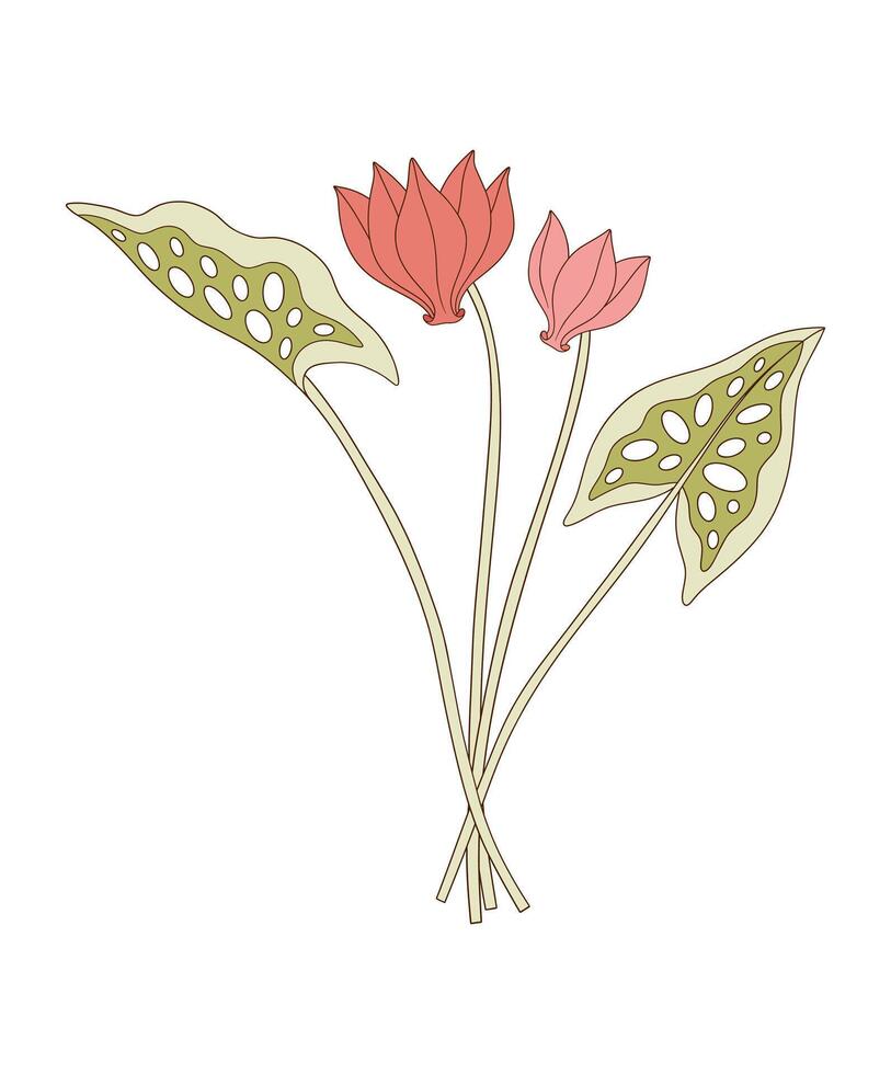 Bright bouquet of two sowbread flowers with leaves. Bunch of blooming perennial wild plants. Botanical hand drawn elements for design projects, illustration vector