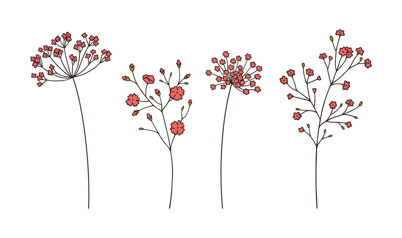 Set of red wildflower inflorescences in black outline on white background. Hand drawn flowers and leaves. Wild plants and botanical elements for design projects, illustration vector