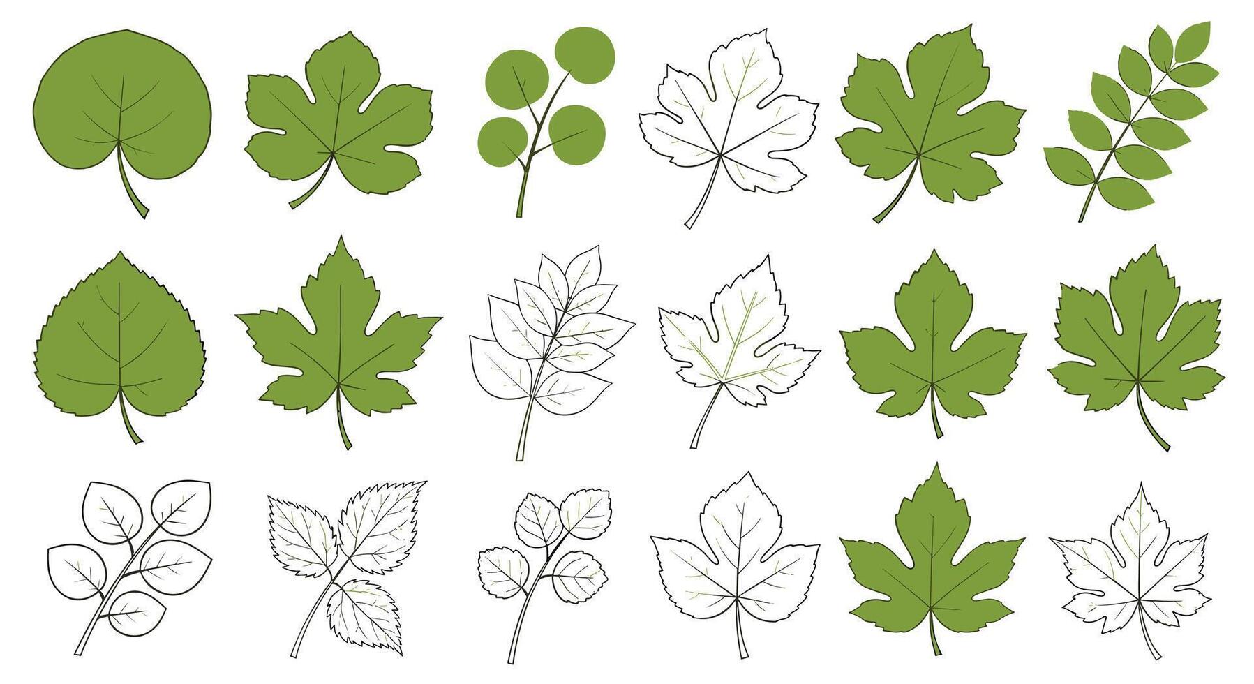 Diverse Array of Green Botanical Leaves And Natural Foliage Illustrations For Graphic Design vector