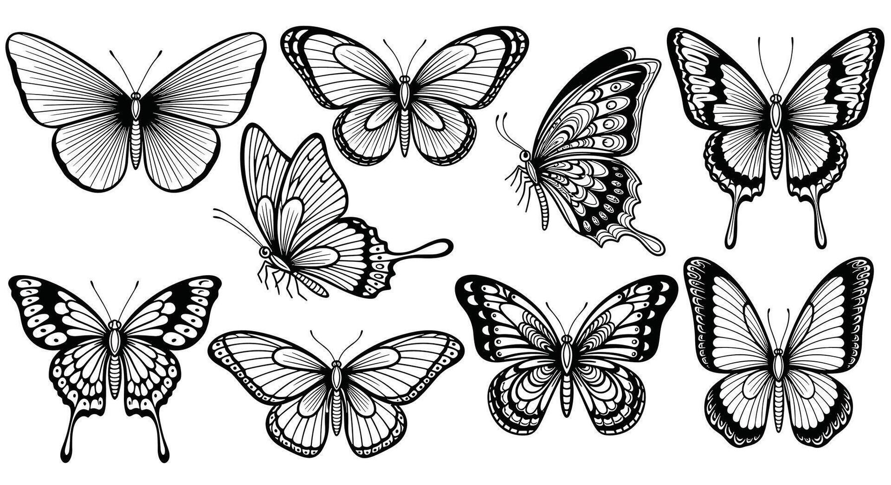 A Collection of Butterfly Drawings with Varying Poses and Wing Patterns Displayed in Black and White vector